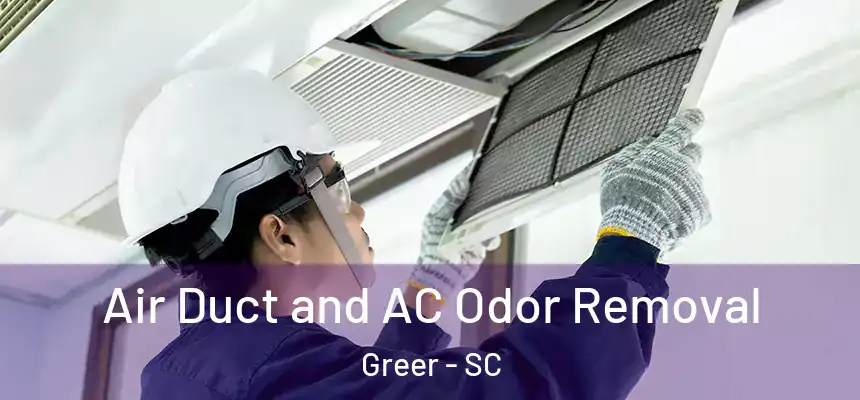  Air Duct and AC Odor Removal Greer - SC