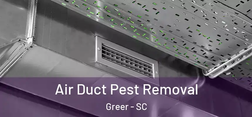 Air Duct Pest Removal Greer - SC