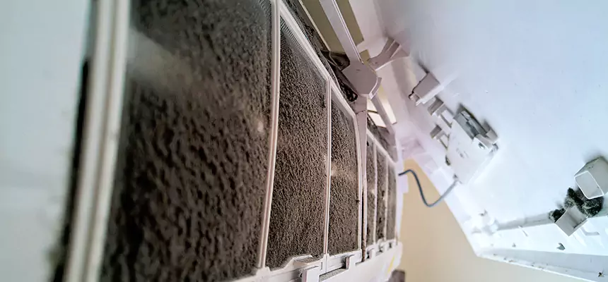 Preventive Air Duct Bacteria Removal in Greer