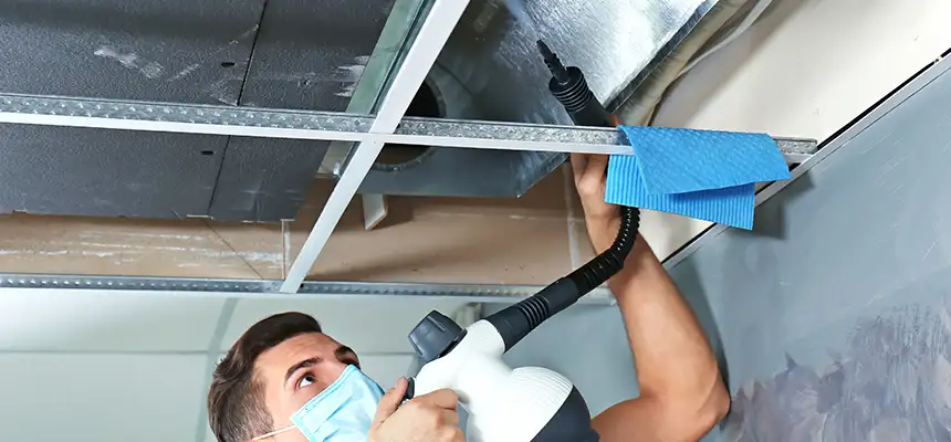 Our Air Duct Rodent Removal Services in Greer, SC