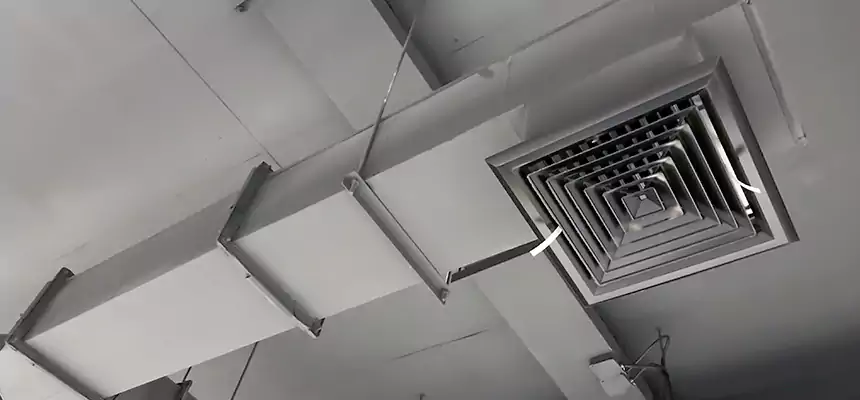 Our Rodent Droppings In Vents Services in Greer, SC