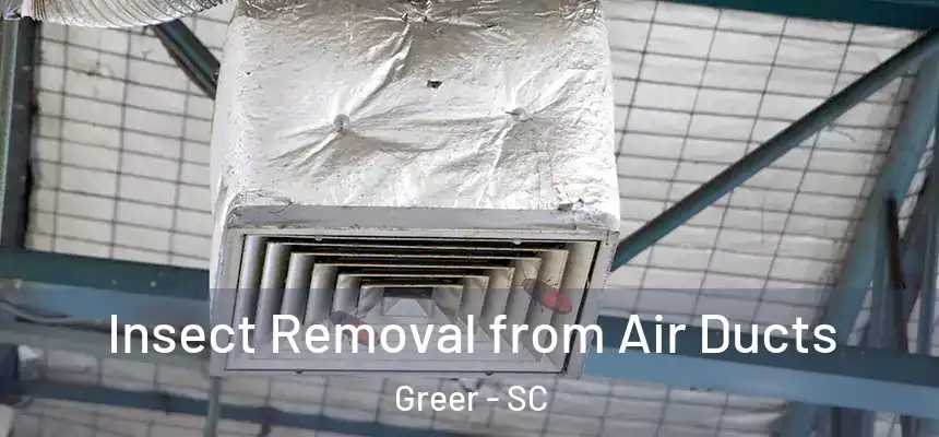  Insect Removal from Air Ducts Greer - SC