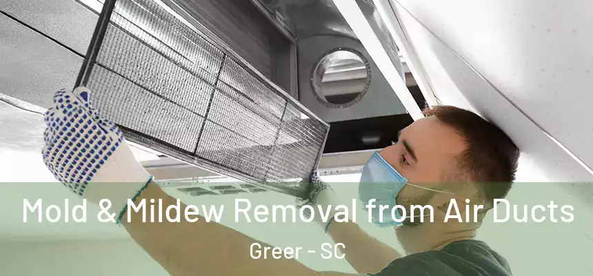 Mold & Mildew Removal from Air Ducts Greer - SC