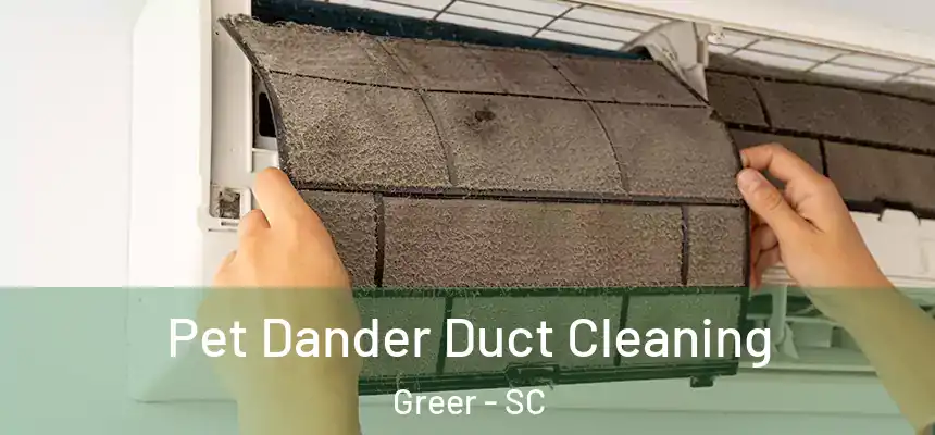 Pet Dander Duct Cleaning Greer - SC