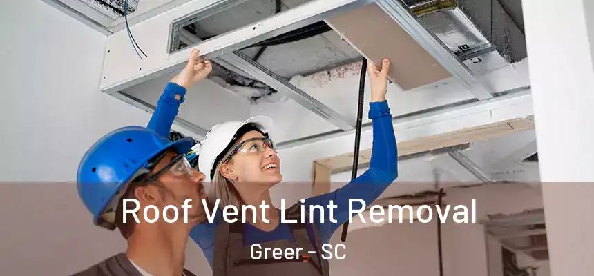  Roof Vent Lint Removal Greer - SC