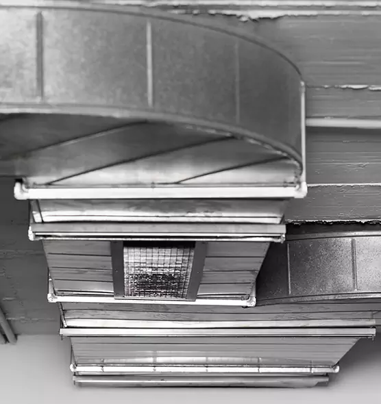 Professional Air Duct Pet Hair Removal in Greer, SC