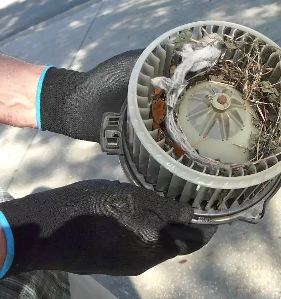 About Air Duct Rat Removal in Greer, SC