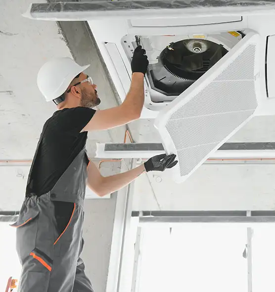 About Air Duct Rodent Removal in Greer, SC