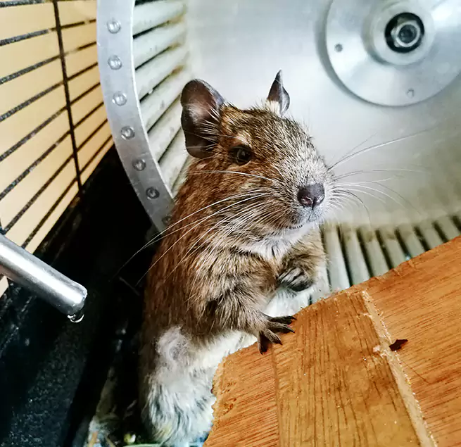 Why Homeowners & Businesses Trust Us Greer, SC