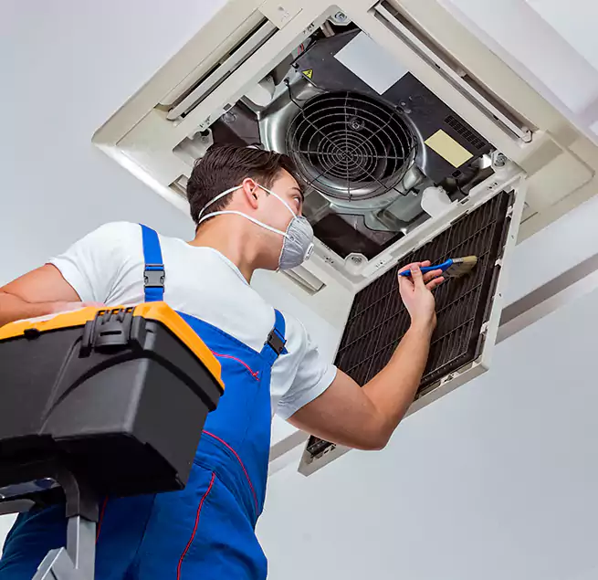 Why Homeowners & Businesses Trust Us in Greer, SC?