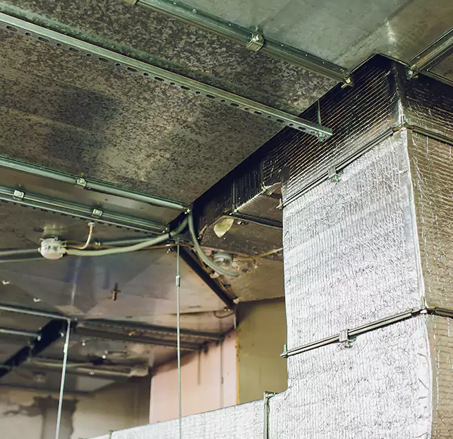 Why Homeowners & Businesses Trust Us in Greer, SC?