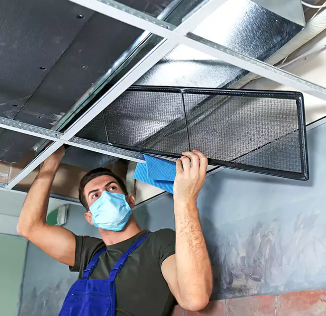 Why Homeowners Businesses Trust Us in Greer, SC