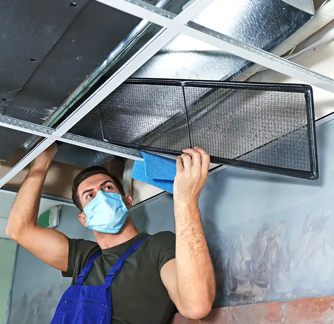 Why Homeowners & Businesses Trust Us in Greer, SC?